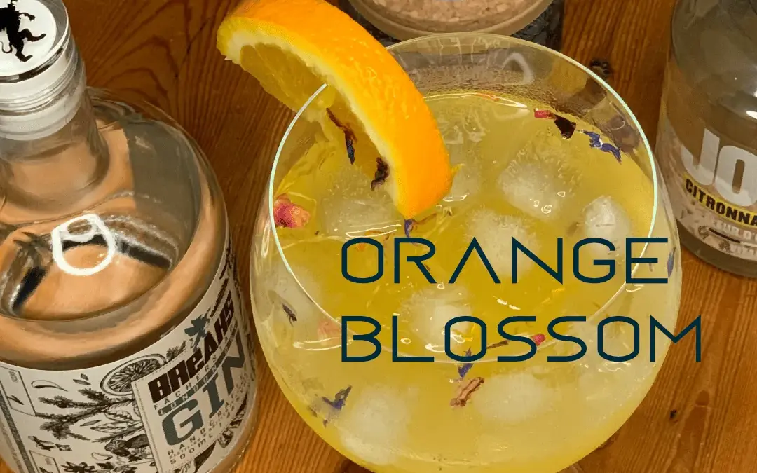 Die besten Gin-Cocktails: ORANGE BLOSSOM