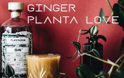 Die besten Gin-Cocktails: GINGER PLANTA LOVE