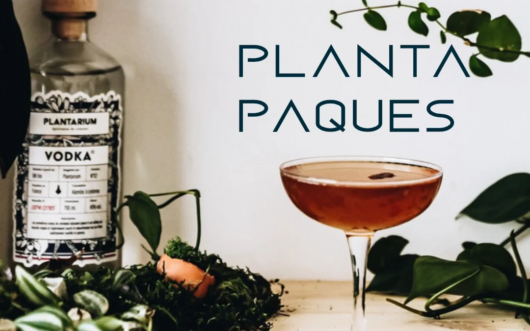 Die besten Wodka-Cocktails:  PLANTA‘ PAQUES